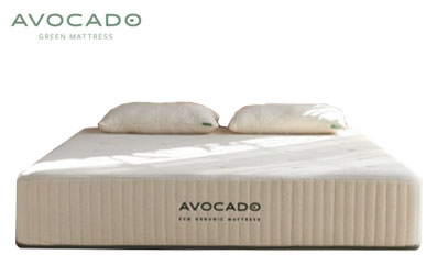 Avocado Eco Organic