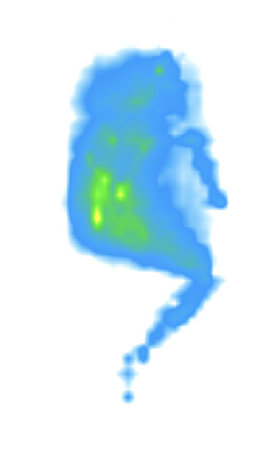 A pressure map from an average-weight side sleeper on the Brooklyn Bedding Signature Hybrid mattress