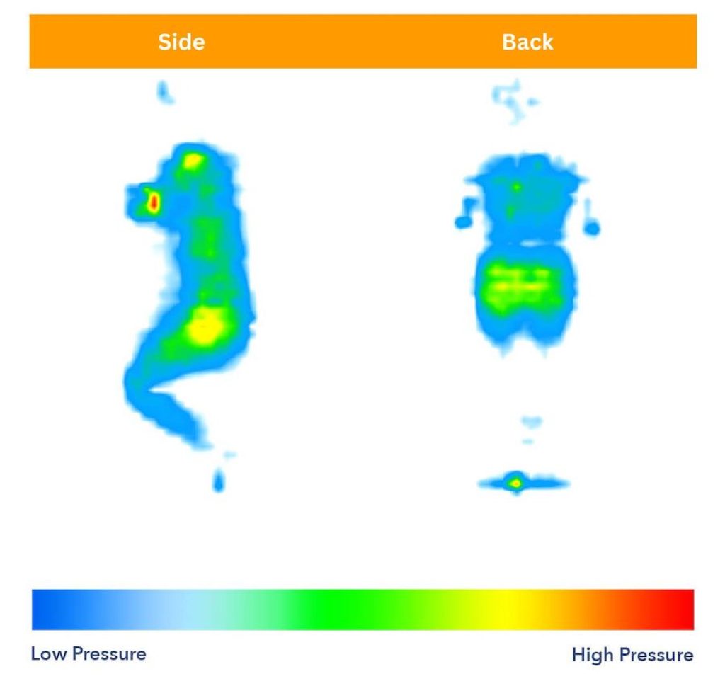 Saatva Classic Mattress Pressure Testing