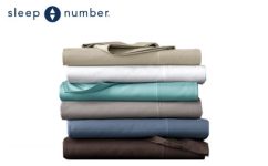 Sleep Number True Temp Sheet Set